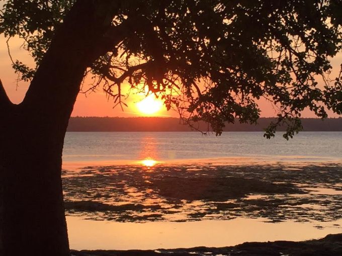 Sunrise from the porch.jpg